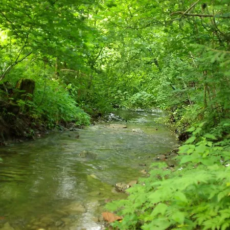 Alloggio per agriturismo Noclegi Milowka