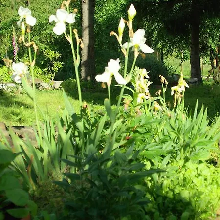 Alloggio per agriturismo Noclegi Milowka *